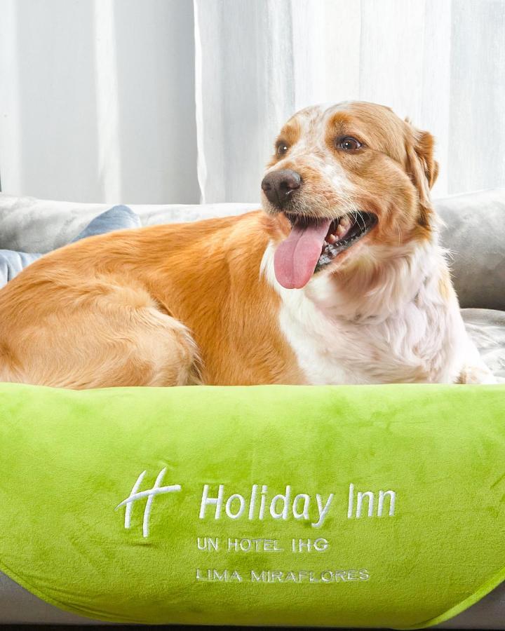 Holiday Inn - Lima Miraflores By Ihg Dış mekan fotoğraf